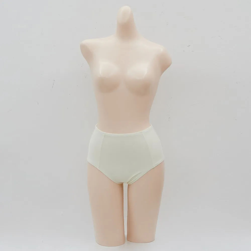 Basic High-Waisted Bikini Bottom IJ13