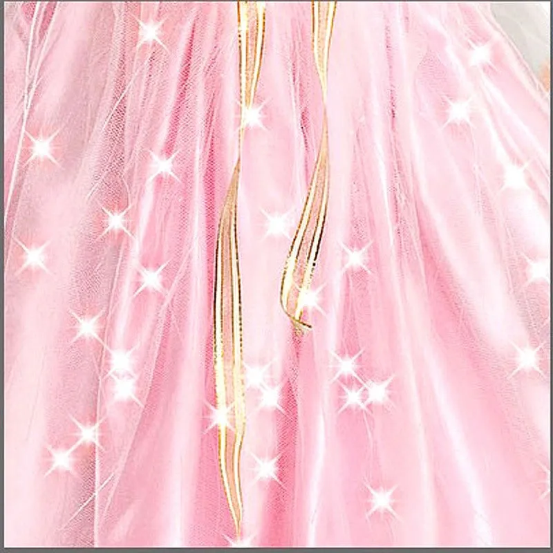 Child Rose Princess Costume