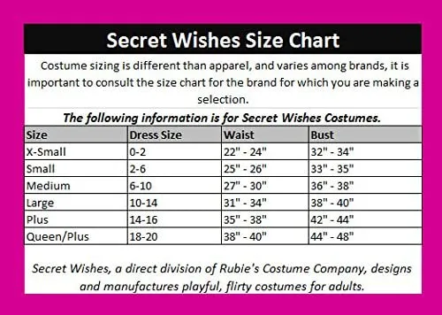 Secret Wishes Princess of Thieves Costume